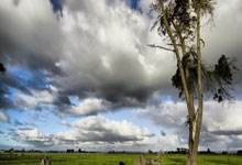 奇异果体育:“我有1/16中国血统,在中国夺冠感觉与众不同”,皮亚斯特里首夺F1中国大奖赛桂冠新闻晨报.