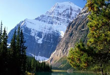 谢文能+高准翼不踢,泰山队5外援齐整出征客场,于金永只差在经验.