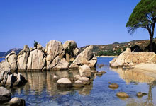 张玉宁、汪海健表示赢球让大家更有底气,精神状态达到比赛要求.